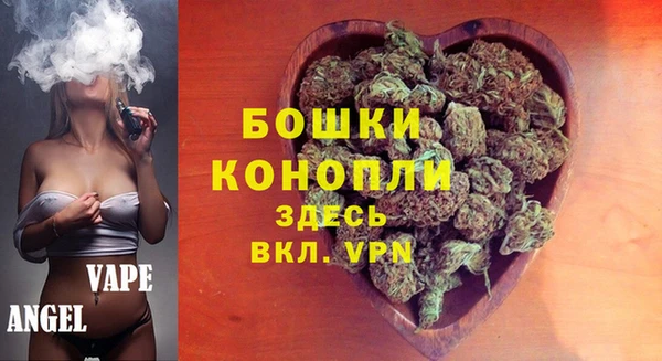 сатива Армянск