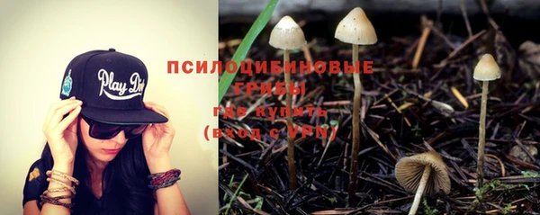 сатива Армянск