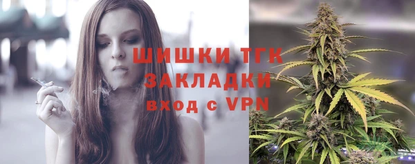 сатива Армянск