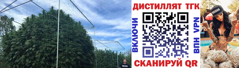 Дистиллят ТГК THC oil  продажа наркотиков  Олонец 